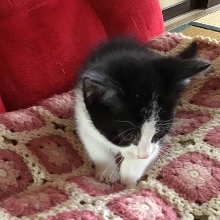 B47fb9a5 b63b 4b77 9c12 ae47354a7c55 1623297522402