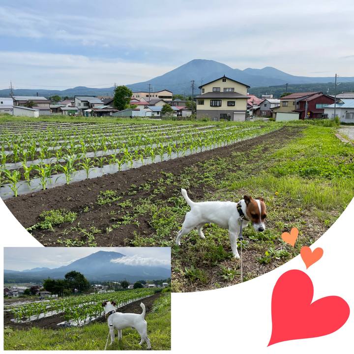 B47fe35d 6da4 4e06 b13b ab5b06efe916 1655178868940