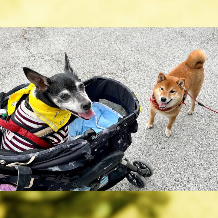 B48016a8 7d8b 4060 980d 572b53c665ef 1650704607162