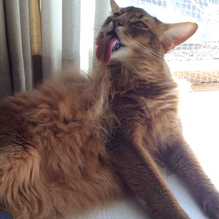 B4803590 447f 462b 9e67 0db26c088b99 1608869994590