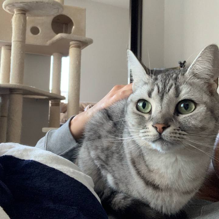 B48045f4 3dd7 442d 9df5 f68cd11c03ec 1639896192846