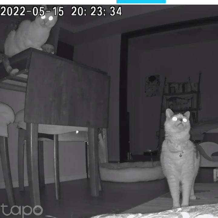 B4805903 fe45 47f0 973a 6ca4ab841da4 1652621496839