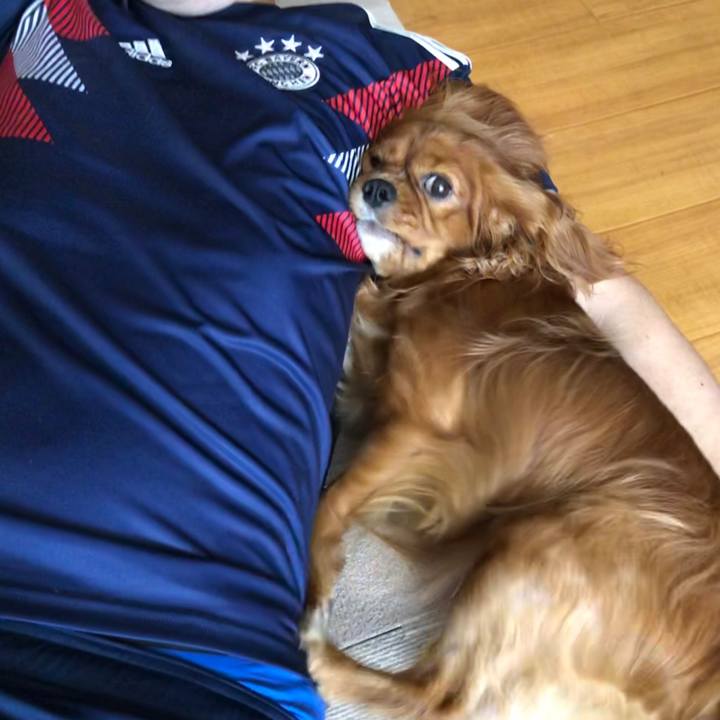 B480609e 9a0d 4768 9441 1f627623865f 1561637933026