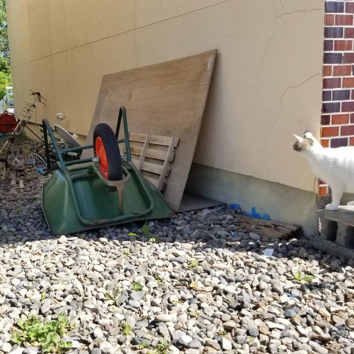 B4806a95 8636 43ae 8809 08a6e49b5a2a 1623337557521