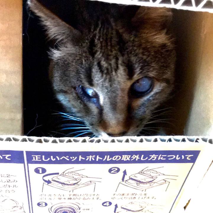 B4807426 7d60 4a6b b857 5457040231ed 1584695314959