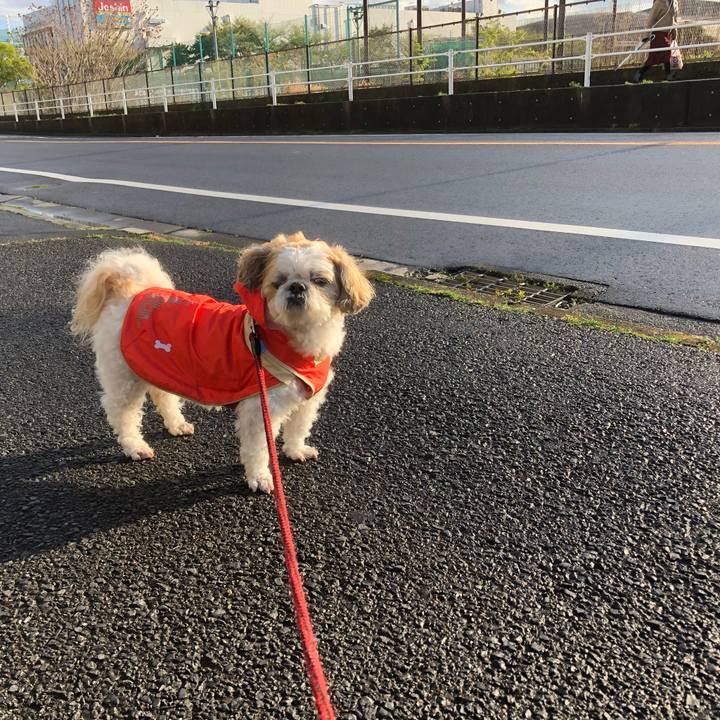 B4808f8d bd40 4a89 8281 e33d705271b3 1587259541522