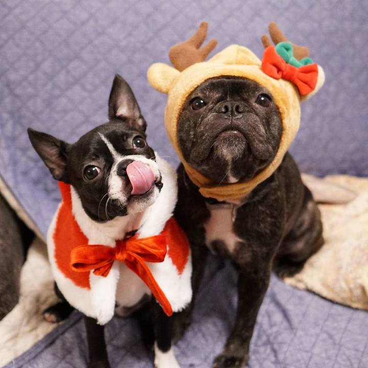 B480b945 64a3 4244 84bd ee66b3614f8e 1545650841734