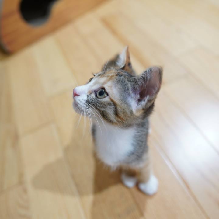 B480bbdd 7b53 446b 9210 9611046f2c35 1568298458672