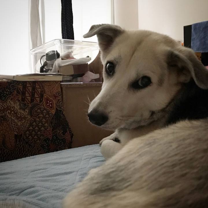 B480c7fe 68f1 4d18 a3ae e89414e9a85d 1566136760409