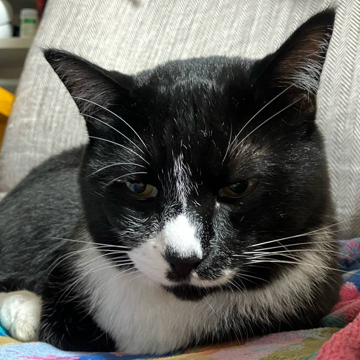 B480cc8a 96d5 4bdd a1e3 4e772cc48743 1759466274591