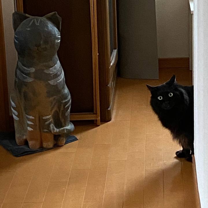 B480e301 7656 447f 8f1e a8fdb8c80de0 1617430817732