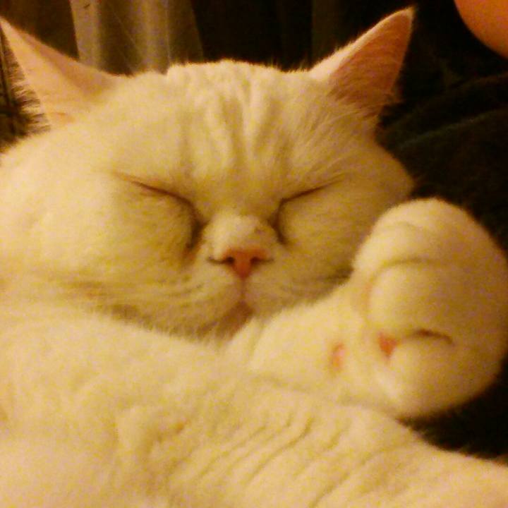 B480e5c2 b3e1 40dc 9782 762b00257159 1517662488330