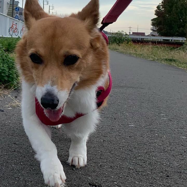 B480f0ea b219 4986 956b 066d230c4d22 1698224967256