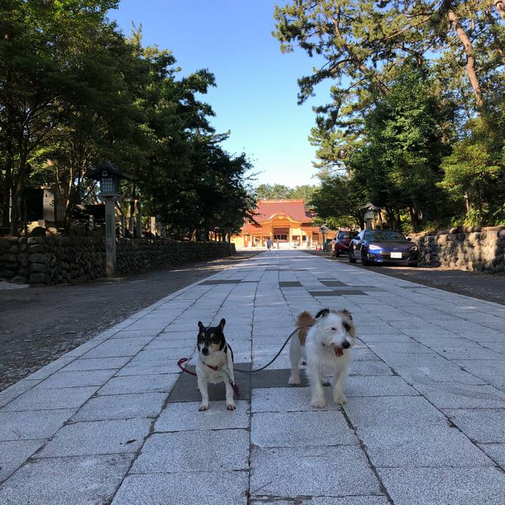 B48116a8 a187 4b69 bfc9 97f44b5bde02 1532651241502