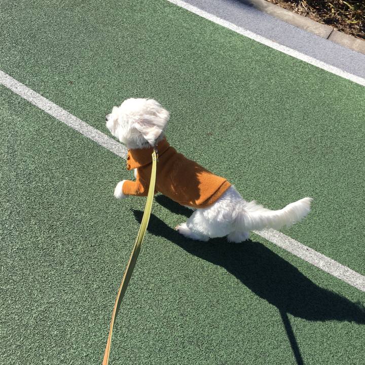 B4811e84 636e 44e4 a70b a62e072efeb7 1547802898380