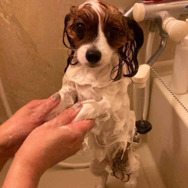 B4811f9a a941 444e b033 0735925161eb 1635164256156