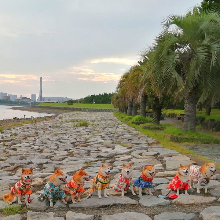 B48128fb 7367 4113 8406 3666dfd6eda2 1661184105562