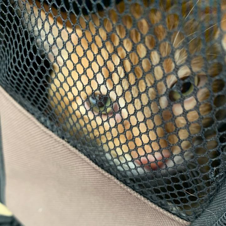 B48150ea d736 4c16 b928 f9f2117bde86 1572701243273