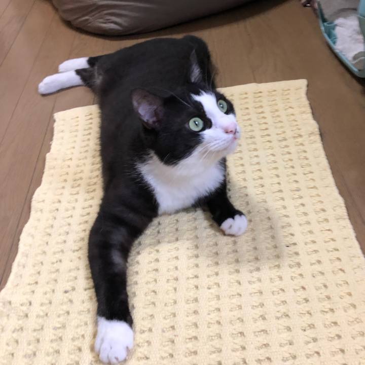 B481a51a 58df 4b0c 81fd 82d4605a6bbb 1563663105852