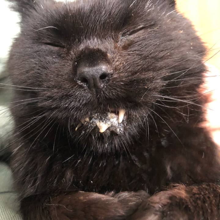 B482b9ea 31f0 40d2 aefa c897dd01f4ab 1645917015214