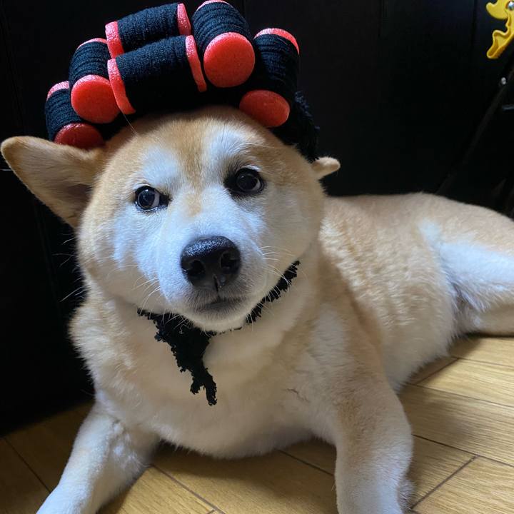 B482e67d 8ce0 4162 85c2 919237610994 1650801850591