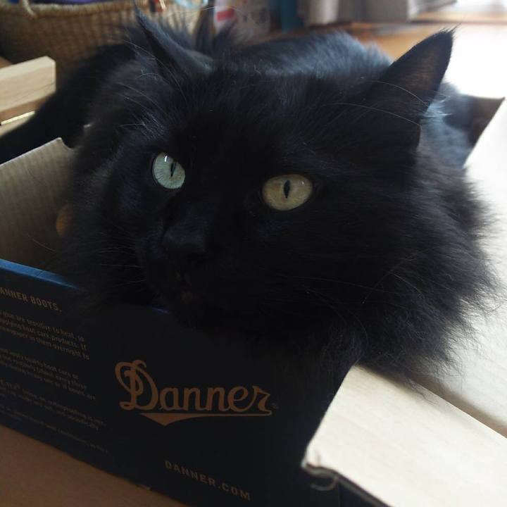 B482f796 fa4e 4ae0 887e 1176cd44753e 1550561007405