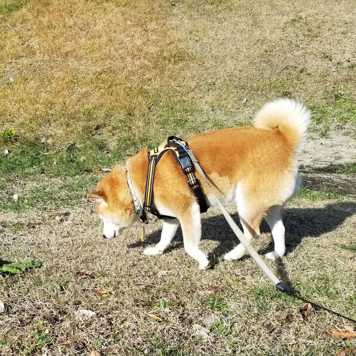 B4830dfa 0f5c 445a 960d 806214afd528 1639281902554