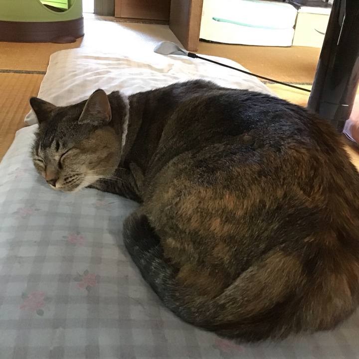 B483133b 4ad8 4c89 b782 5a1d2e14fbaf 1690372372560