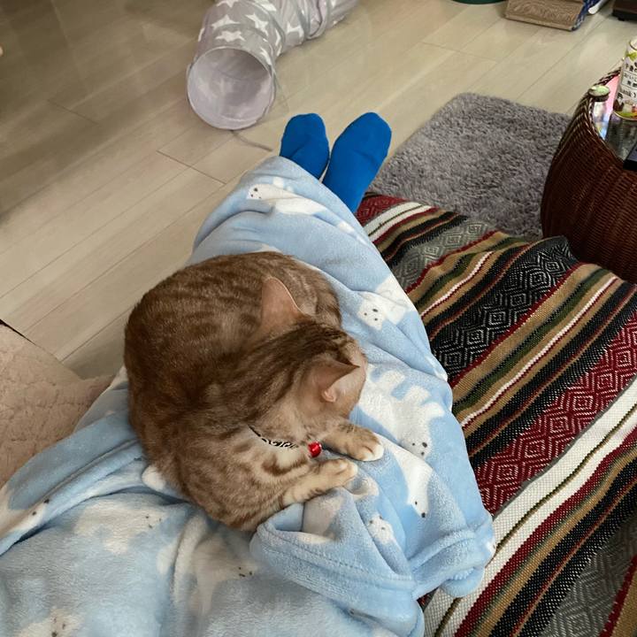 B483135a 2d7f 4e3d 9795 338743a0f5ec 1643184032621