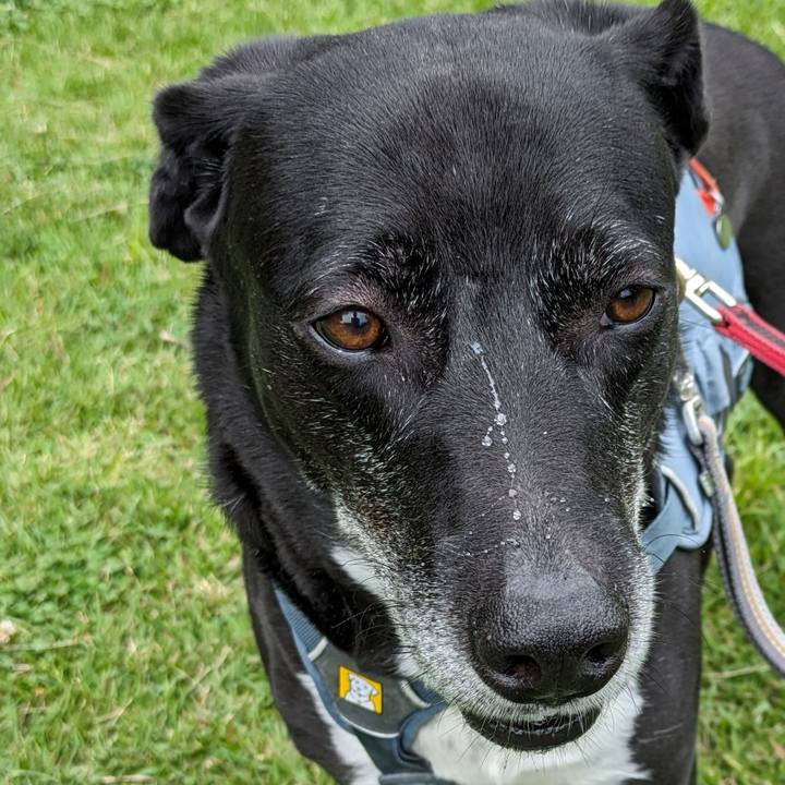 B483500b 1fbf 4b2d a8d2 fbd27c6fd7d7 1718239345521