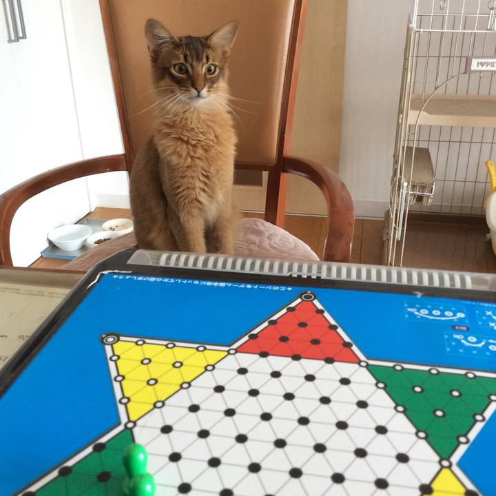 B4835301 ff42 4693 9caa 3f6fdf7e6a47 1588043310132