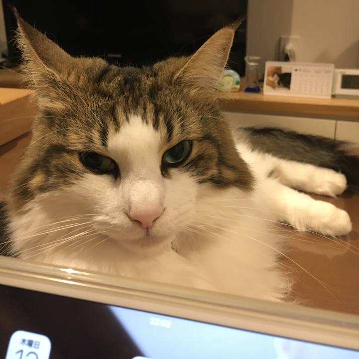 B4837b3a ce94 40fa 9cca 634e447797f2 1536848984923