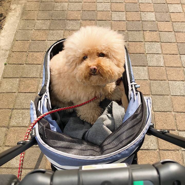 B483d270 8075 4aad 8623 9abc4fbee5d1 1519286521095