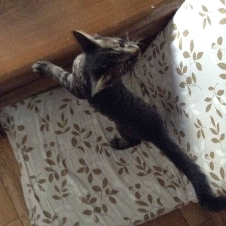 B483dfca e40d 4494 820e 575418ea0d65 1533165743875