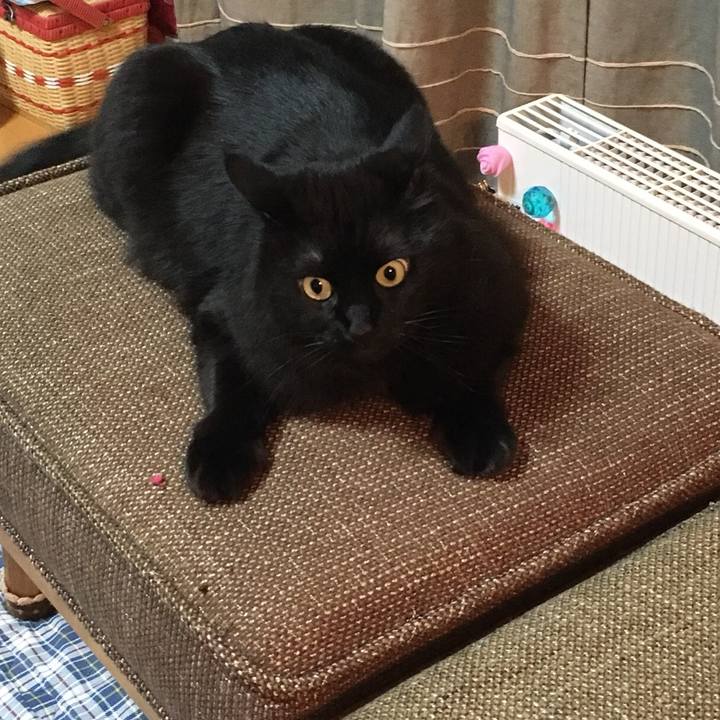 B4843b91 53dd 439e bdb0 7b81defe6b99 1514719478123