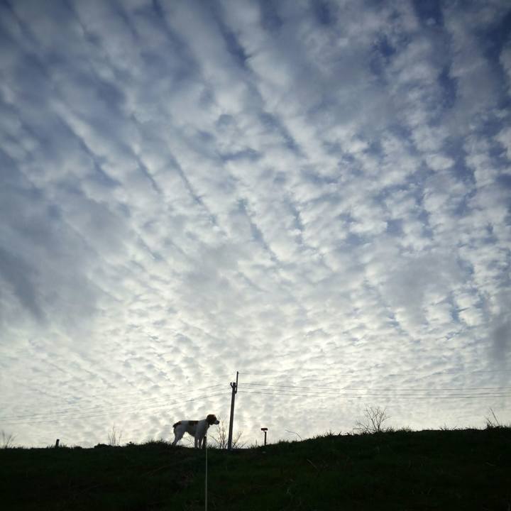 B4846904 7305 48f2 9696 052372d36fd4 1520422348280