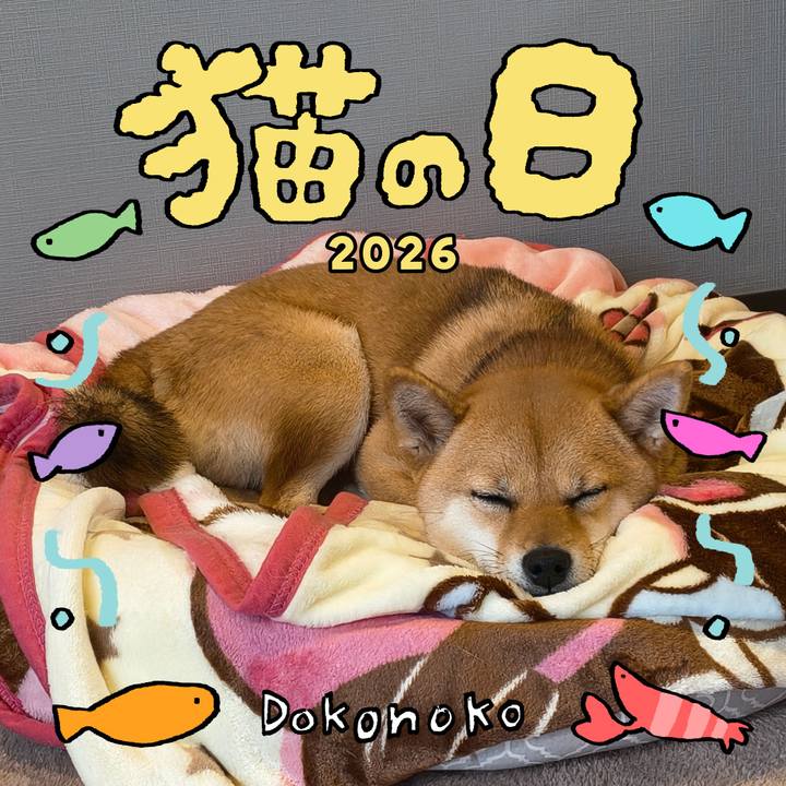 B48469c7 7acd 4cbc 83b3 6d5cd16fe37f 1771724635650