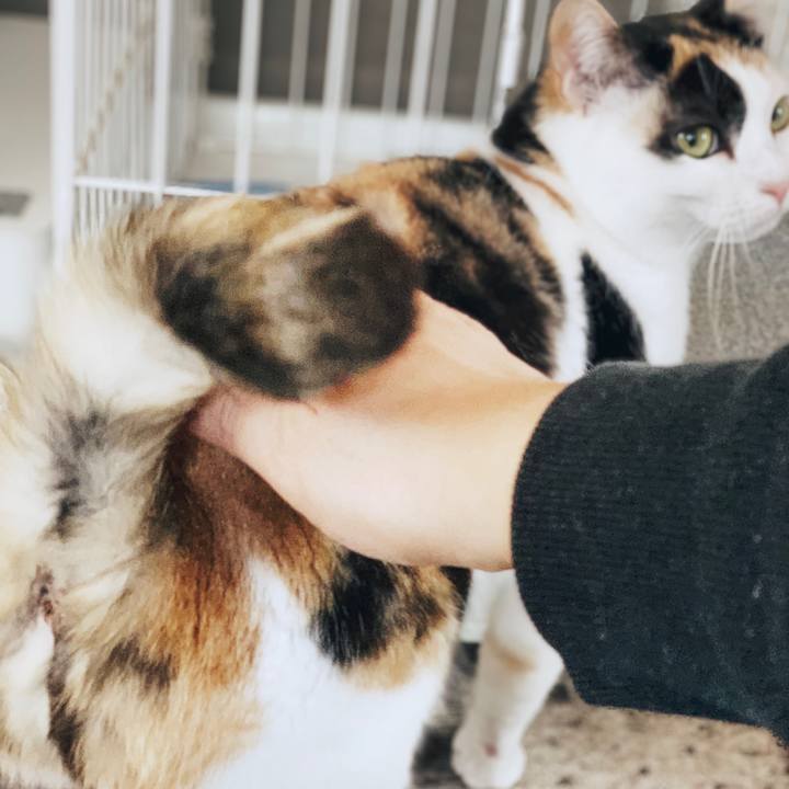 B484975a 45dd 4e0b 863e 8c8a1a830e68 1556506533001