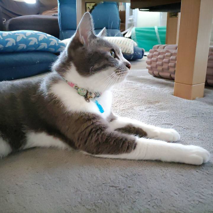 B484990f 01f7 4275 b2b7 4140d3c65525 1693346551471