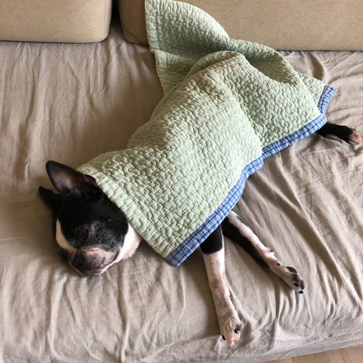 B484e3e1 9962 44e1 8503 f6a5e6d5530e 1721176987785