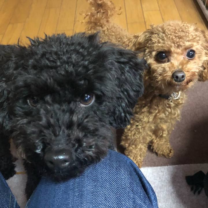 B484e7e3 79fb 4edb b667 cc20210d1a41 1519519124306