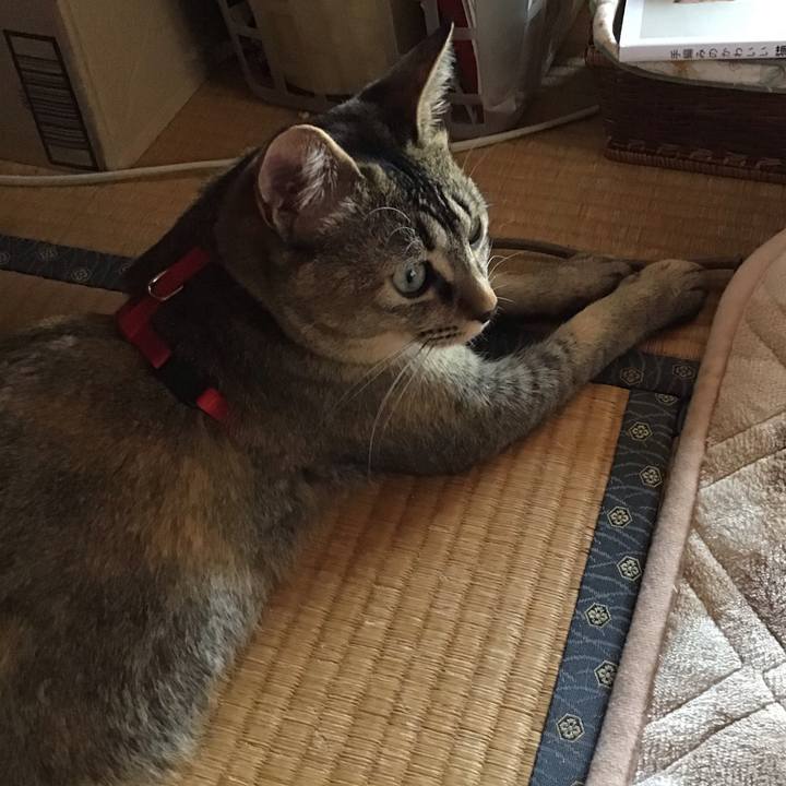 B484f798 713b 457a 8fa0 087985c7d24d 1583731228916