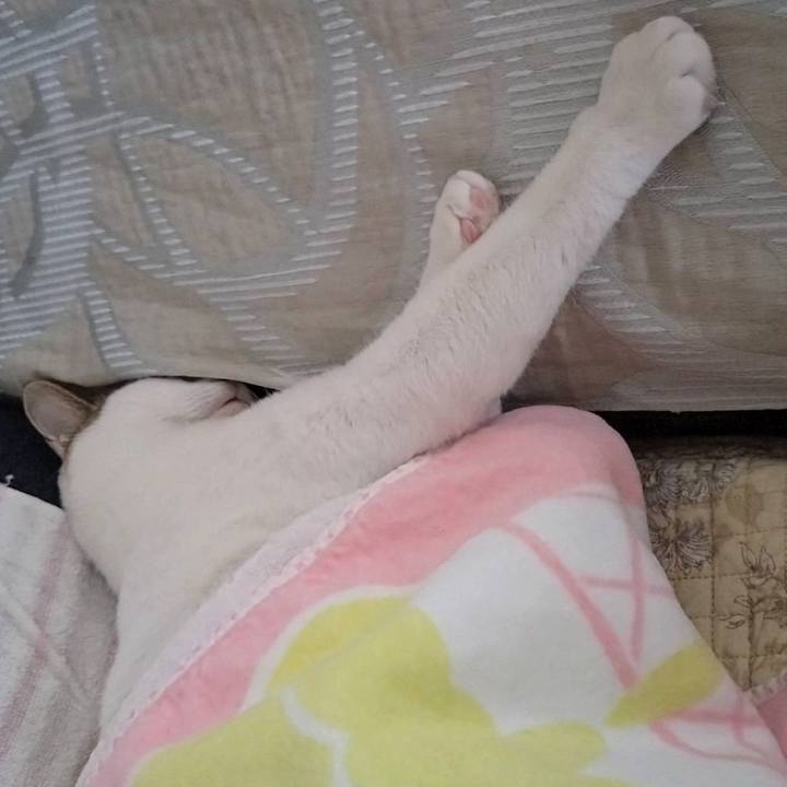 B4850e89 dbe2 4b2d 8b88 27e4894cfc48 1727779013636