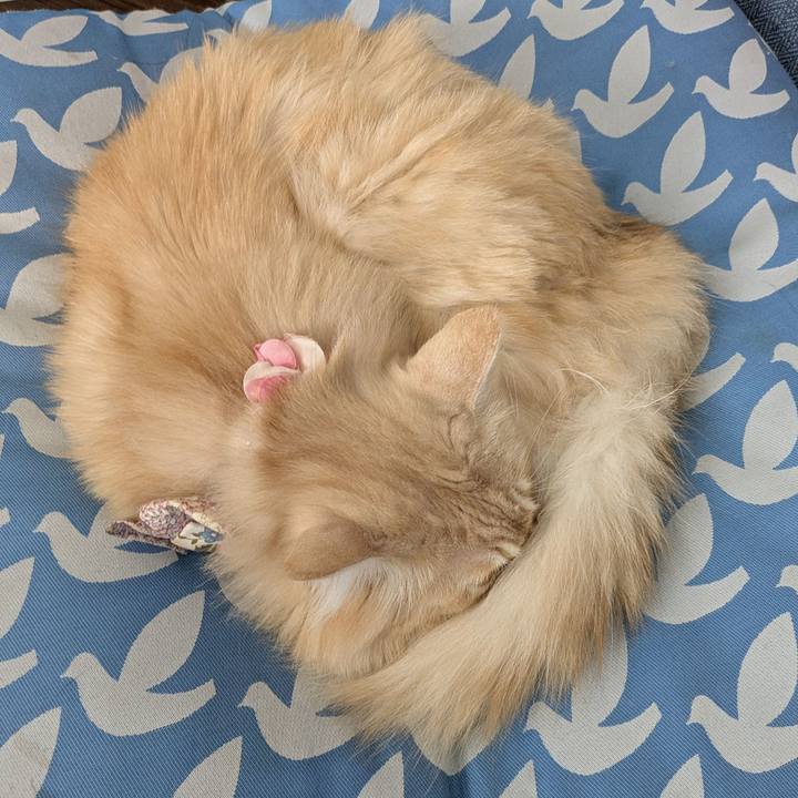 B48516fc db20 4c1b 9e6d 75a2821796ec 1762572966252