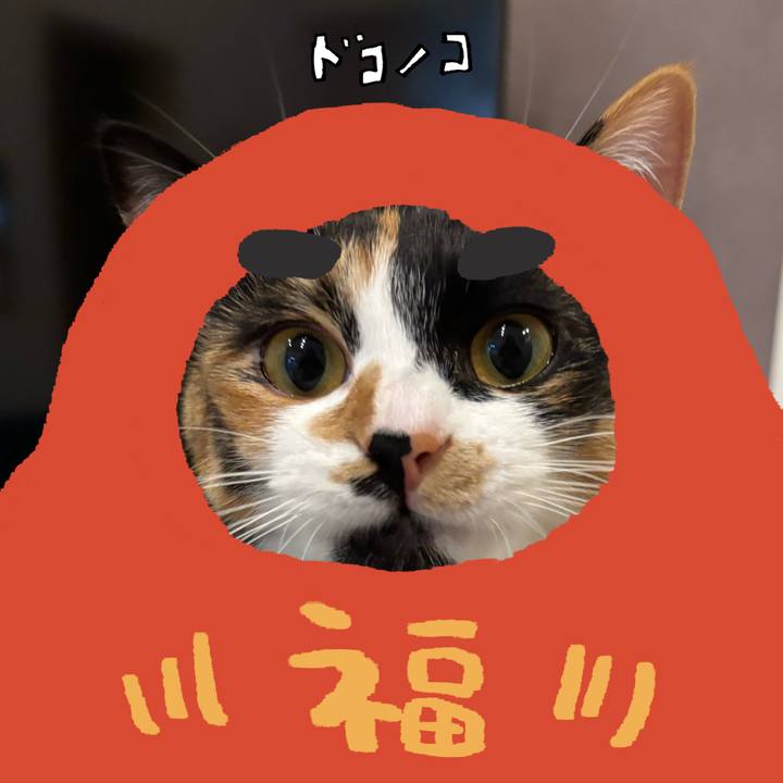 B4851c7a c1f0 4c2e 912a 480ef23cc959 1771889581988