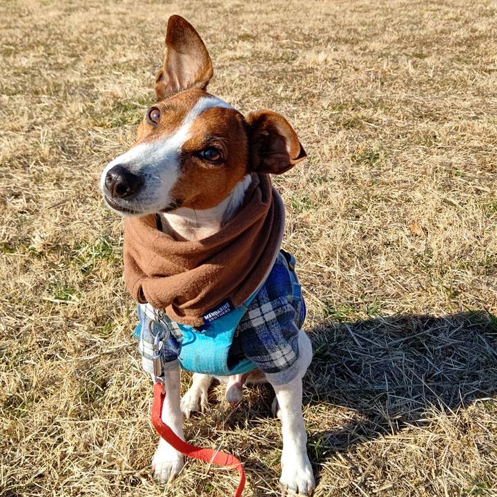 B48534c8 020d 40ef b0ca e242669341f5 1673082799879