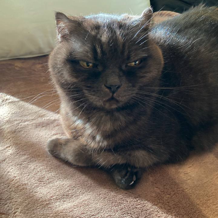 B4853ca7 29bf 421a a41b 8218cd06d62e 1640165376219