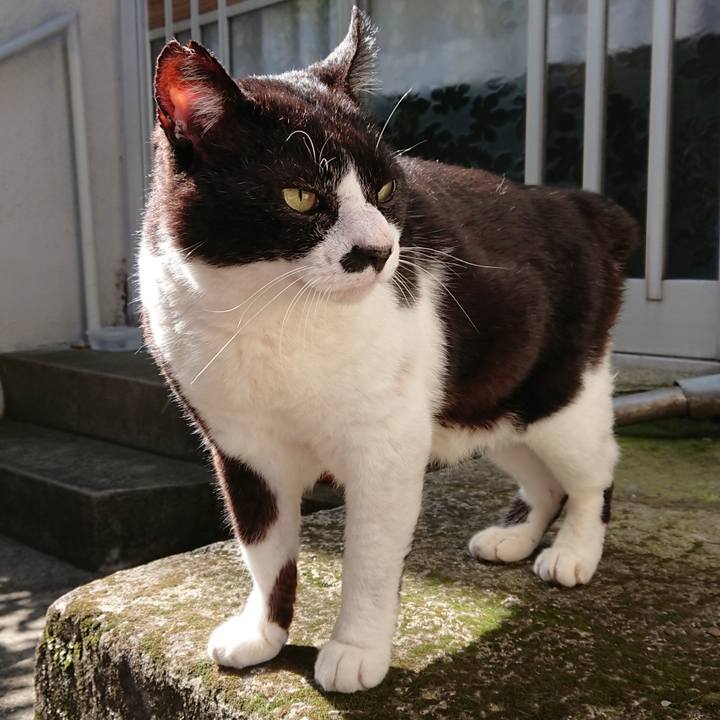 B48573c9 545f 4bdf bc15 ebef8283ded5 1590277740933