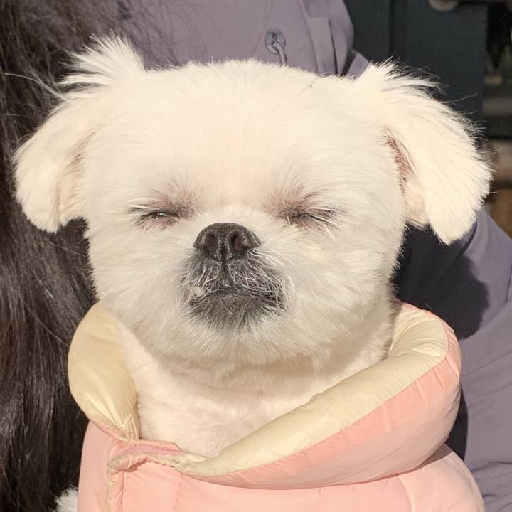 B485cfd8 9c89 491b a895 ddcf5d484561 1644405460607