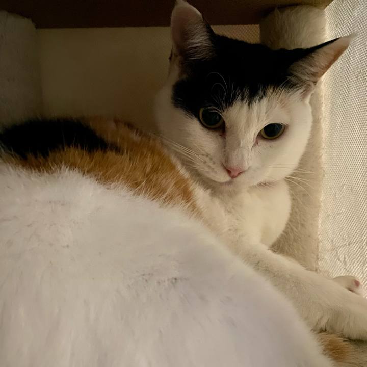 B485e1fe ff06 4b9e a171 7a8f1115966f 1762007905825